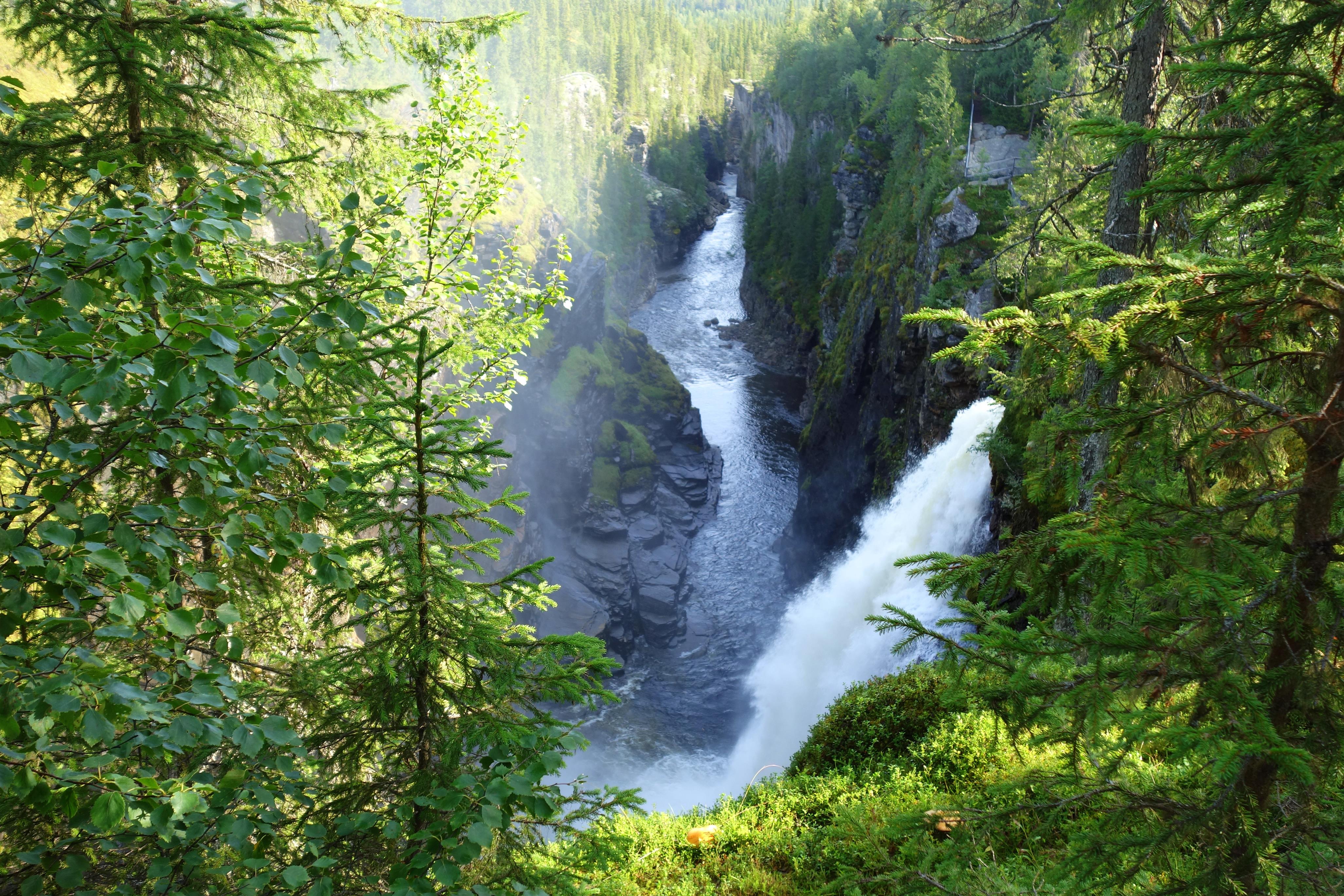 Hällingsåfallet, Mäktigt vattenfall och kanjon i lummig grönska.